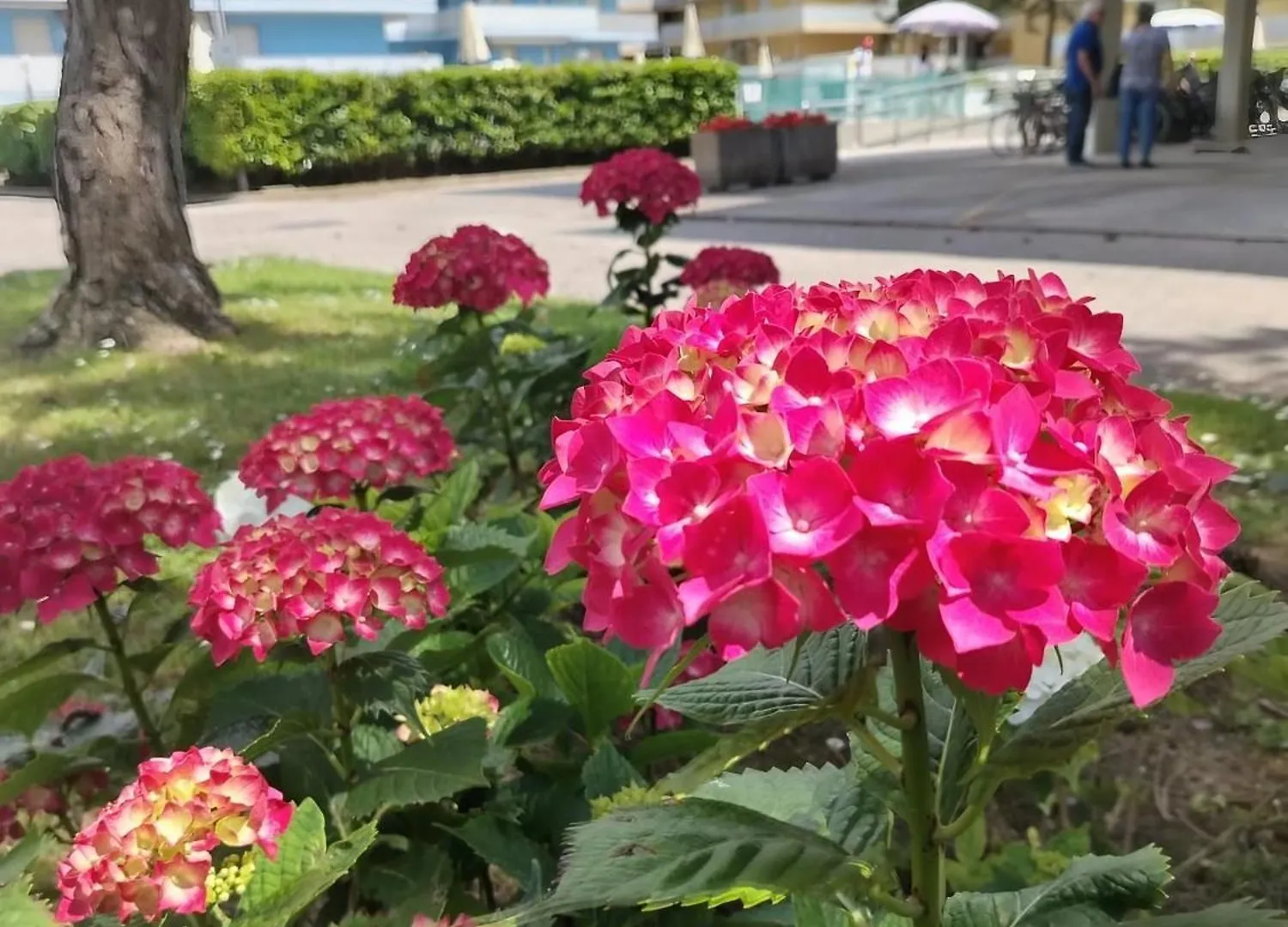 Ferienwohnung Valbella Bibione Italien